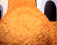 Generation Orange Images-7