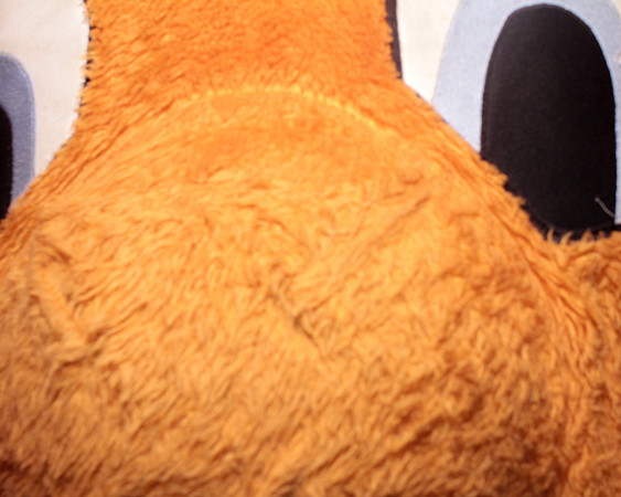 Generation Orange Images-7