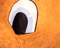 Generation Orange Images-6